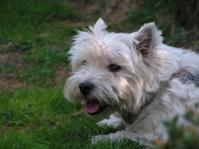 Klik op de foto voor groter formaat